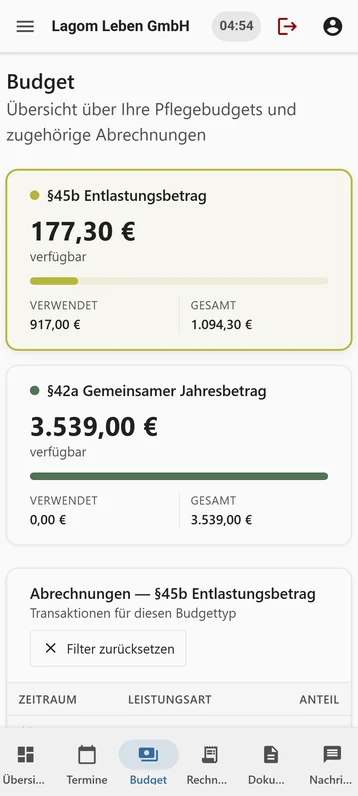 Dieselbe Ansicht Budgetstand auf dem Handy